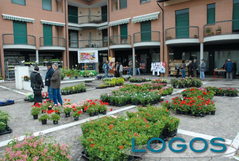 Robecchetto