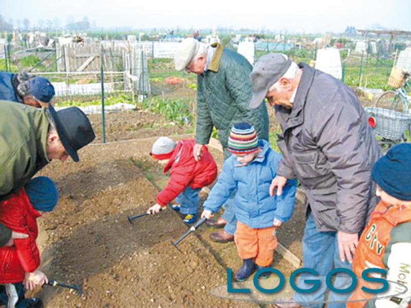 Turbigo-nonni e nipoti curano l'orto 