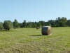 Territorio - Campi nel Parco del Ticino