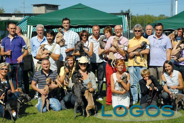 Castano Primo - I levrieri in gara