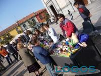 Arconate - Sagra Autunno 2009 10