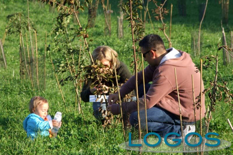 Buscate - Festa dell'albero 09