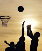 Sport - basket_2F.jpg