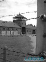 Generica - Auschwitz