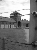 Generica - Auschwitz