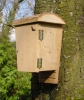 Vanzaghello - Costruzioni in legno per i pipistrelli (Foto internet)