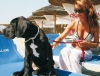 Attualità - In spiaggia con il cane 