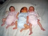 Cuggiono - I tre gemellini Dardoni