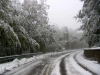 Attualità - Ancora neve sul territorio (Foto internet)