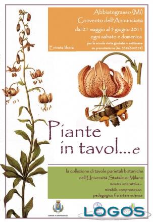 Tavole_parietali_botaniche_large.jpg