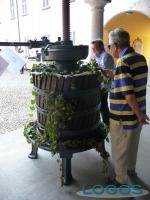 Cuggiono - Sagra del Baragioeu 2011.2