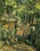 Nel parco di Chateau Noir, Paul Cézanne, 1898-1900