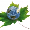 Generica - Ambiente sostenibile (da internet)