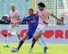 Fuori campo - Fiorentina vittoriosa sul Palermo (Foto internet)