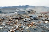 Attualità - Tsunami sul Giappone, il disastro (da internet)