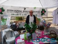 Busto Arsizio - Festa Associazioni 2011.2