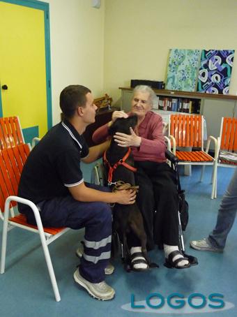 Castano Primo - Pet therapy alla Colleoni (Foto d'archivio)