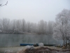 Territorio - Ticino e gelate, gennaio 2012