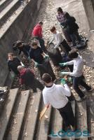 Turbigo - Studenti puliscono scuola 2012.1