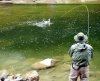 Bernate Ticino - In gara al lago Airone (Foto internet)