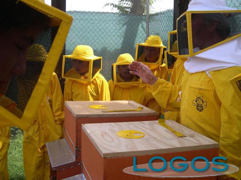 Magnago - Bimbi apicoltori per un giorno (Foto internet)