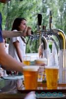 Magenta - Magenta Summer Festival4