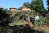 Turbigo - Il parco di Villa Gray, una delle zone colpite (Pubblifoto)