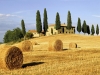 Generica - Toscana, campi di grano