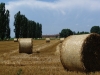 Territorio - Continui furti nelle aziende agricole