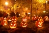 Eventi - Halloween, zucche per la festa (da internet)