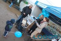 Logos - Fiera San Martino 2012.01