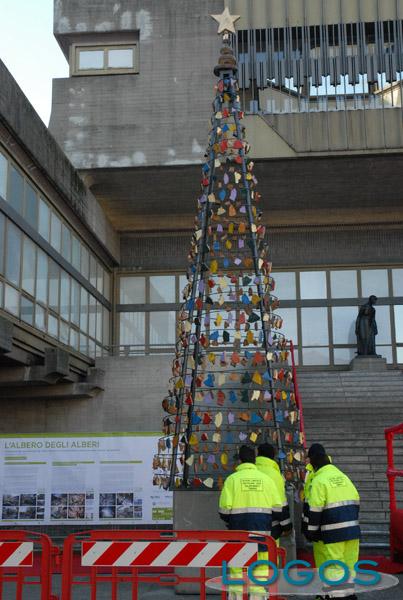 Turbigo - L'albero sostenibile, simbolo di questo Natale