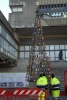 Turbigo - L'albero sostenibile, simbolo di questo Natale