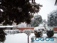 Territorio - Nevicata 14 dicembre 2012.07