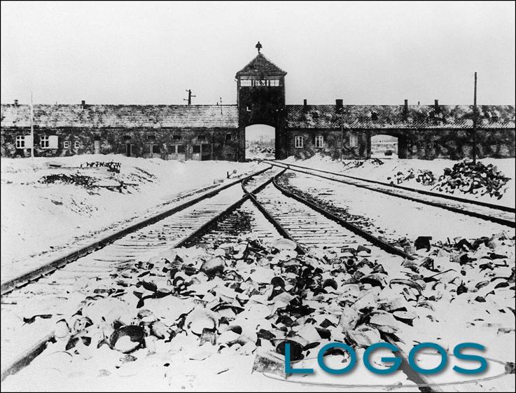 Generica - Auschwitz (da internet)