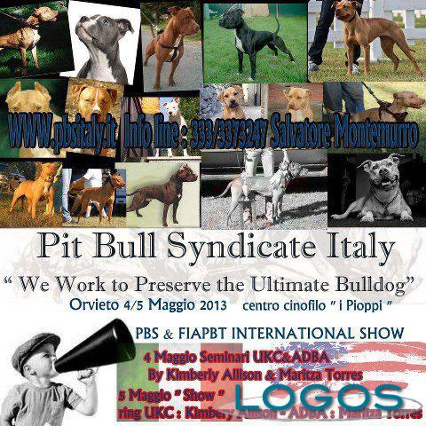 Eventi - Pit Bull protagonisti a Orvieto