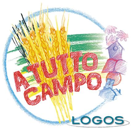 Territorio - Anno Oratoriano 2013-2014, il logo