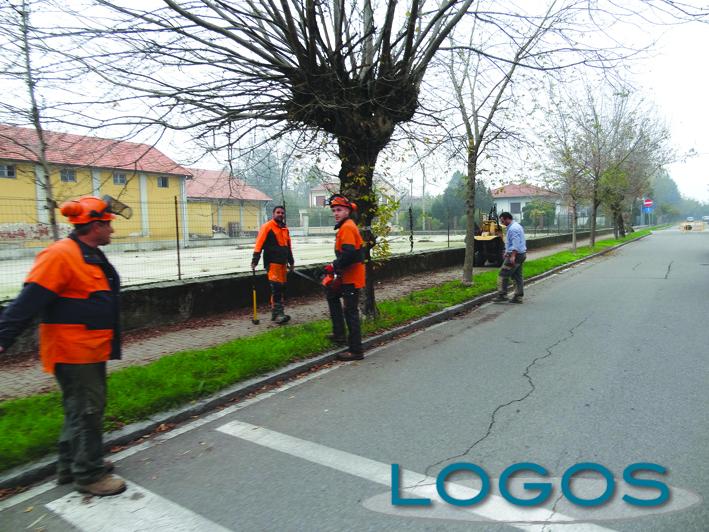 Cuggiono - Taglio piante in via Roma