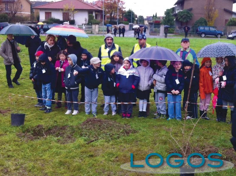 Inveruno - La 'Festa dell'albero' Inveruno - La 'Festa dell'albero'