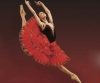Castano Primo - 'Pavlova International Ballet' al Paccagnini