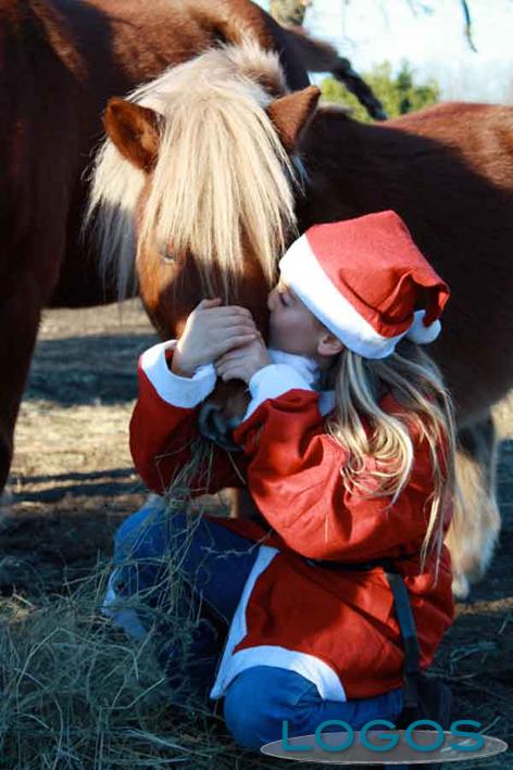 Busto Arsizio - Vacanze di Natale al maneggio 2013