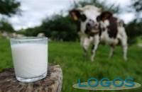 Attualità - Accordo sul prezzo del latte (Foto internet)