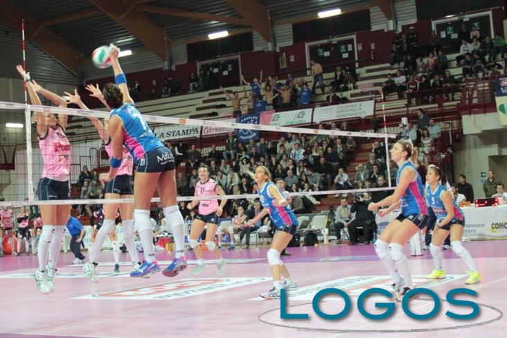 IGOR Gorgonzola Novara.jpeg