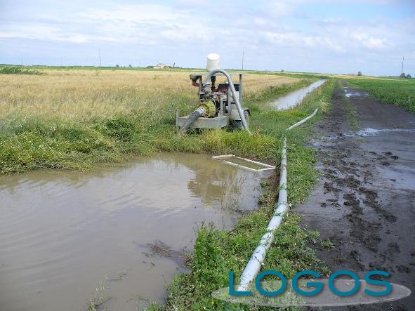 Territorio - Troppa pioggia, vasche reflue al limite (Foto internet) Territorio - Troppa pioggia, vasche reflue al limite (Foto internet)