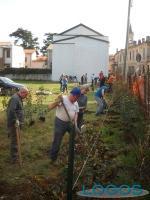 Cuggiono - Cittadini piantano alberi 2014.3
