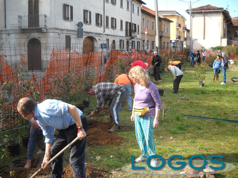 Cuggiono - Cittadini piantano alberi 2014.2
