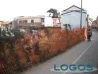 Cuggiono - Cittadini piantano alberi 2014.1