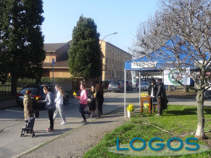 Cuggiono - Agorà dona una mimosa alle donne 2014