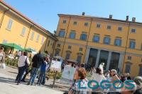 Cuggiono - Sagra di Primavera 2014.02