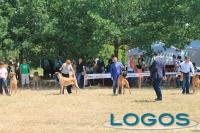 Cuggiono - Campionato Alani 2014.03